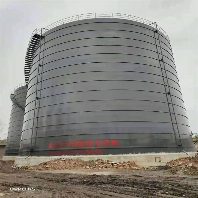 彰武3万吨大型钢板库